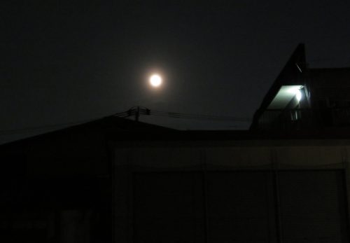 満月の下、夜詣り参拝