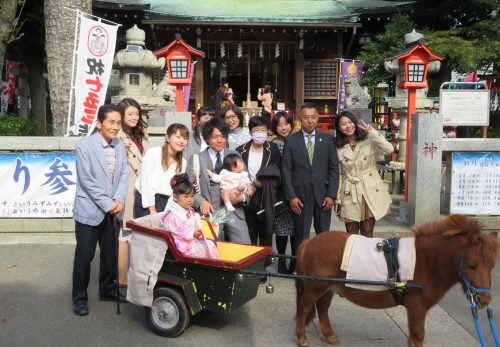七五三　ポニー馬車運行