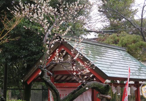 お月見講話　講師変更のお知らせ