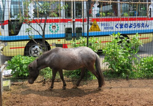 神田明神のあかりちゃん