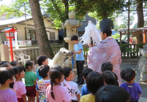 ばにら号　入厩