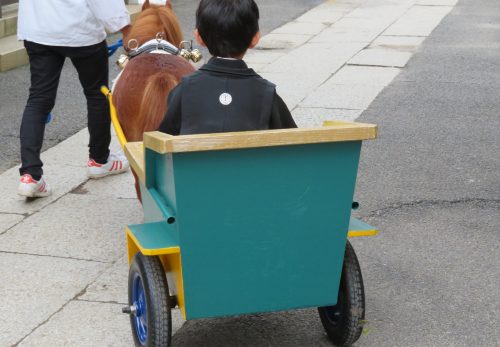 七五三詣　ポニー馬車運行