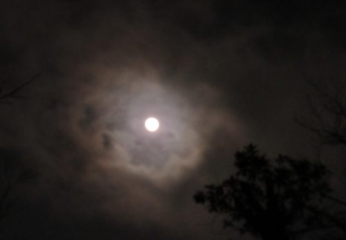3月10日満月夜詣り参拝