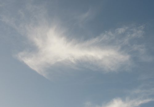 八咫烏のような雲