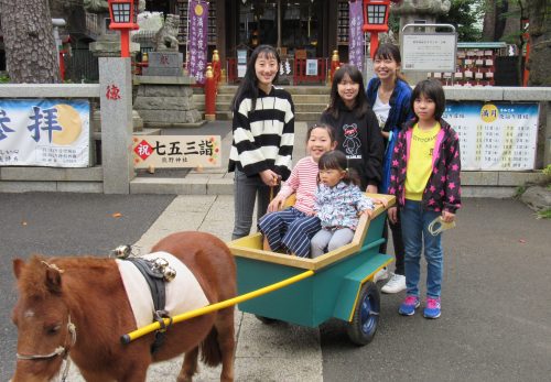 七五三詣　ポニー馬車運行日