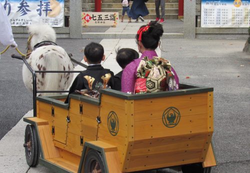 大人気　七五三詣ポニー馬車