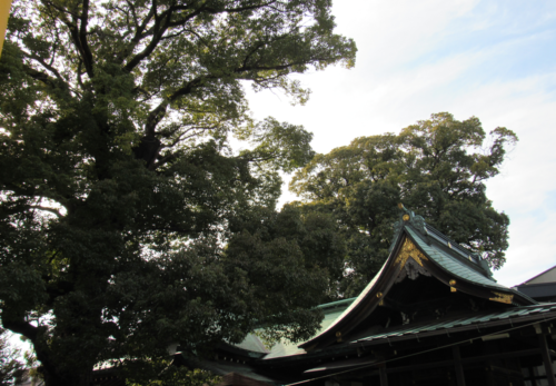 「節分祭」「初午祭」「紀元祭」