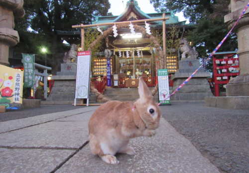 あけましておめでとうございます