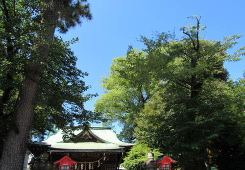 『熊野祭』開催のお知らせ