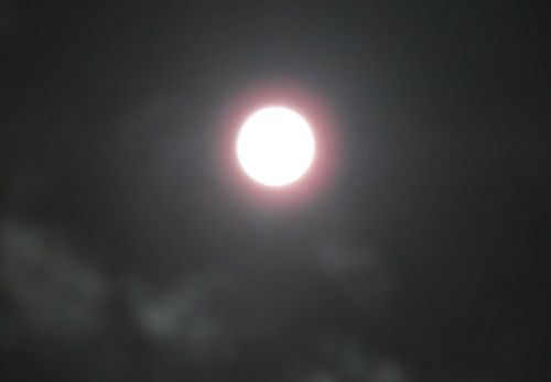 9月29日中秋の名月