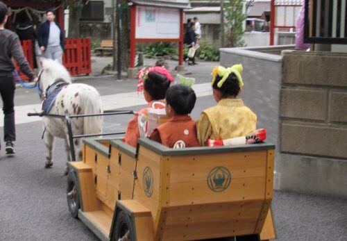 大人気！「七五三ポニー馬車」運行