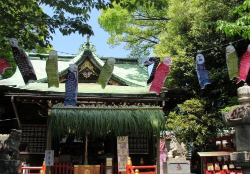 5月5日「ご縁を結ぶ特別祈祷」「くまのこどもまつり」