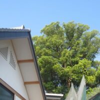 IMG_2572