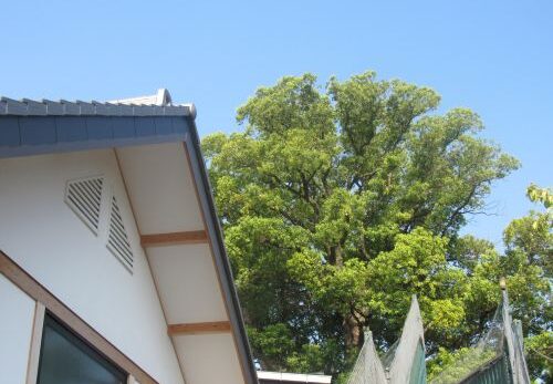 9月の祭事