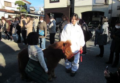 ２月１日　ご神馬ふれあい感謝デー