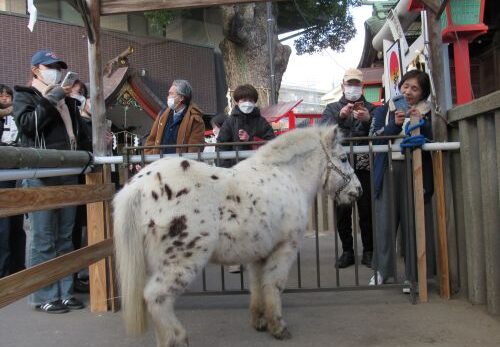 ３月２１日は『ご神馬ふれあい感謝デー』