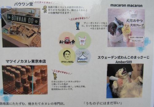6月13日「午の日ご神馬ふれあい感謝デー」